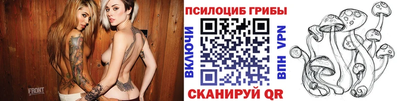 Псилоцибиновые грибы Psilocybe Знаменск