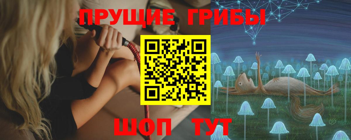 Знаменск  Галлюциногенные грибы Psilocybe  Вход с VPN 